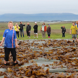 Meiri þarabolti
